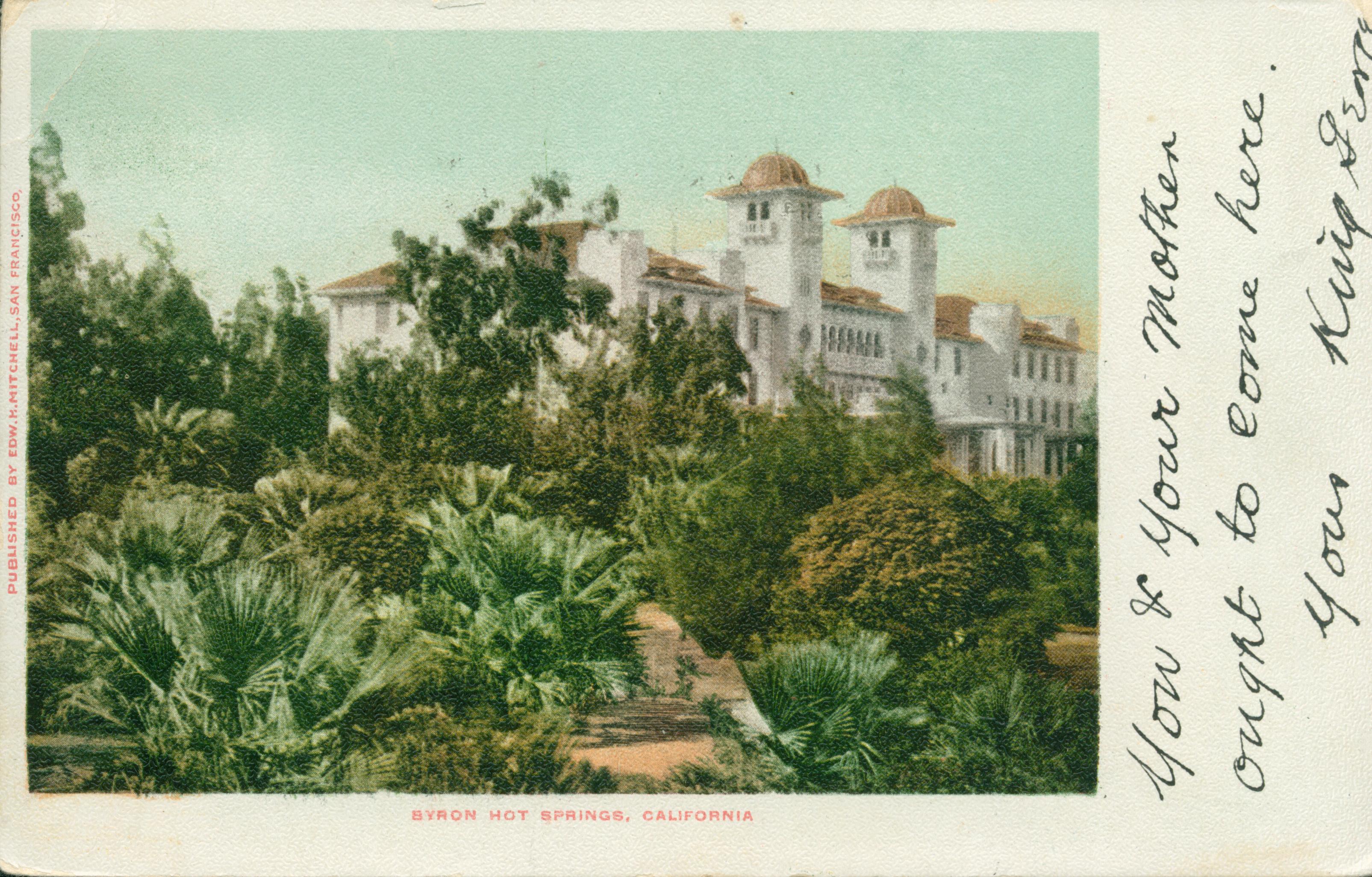 View of a garden with a hotel in the background